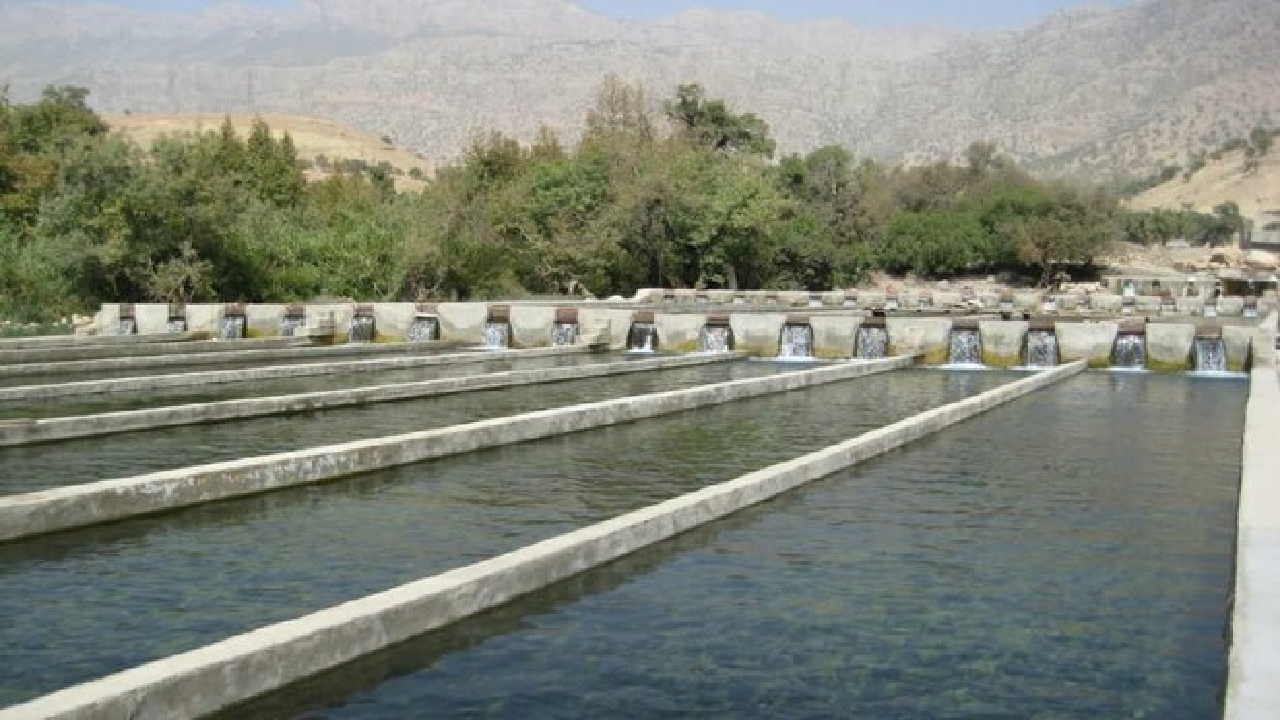 کسب رتبه اول کشوری اشتغال دانش‌بنیان توسط کمیته امداد خوزستان