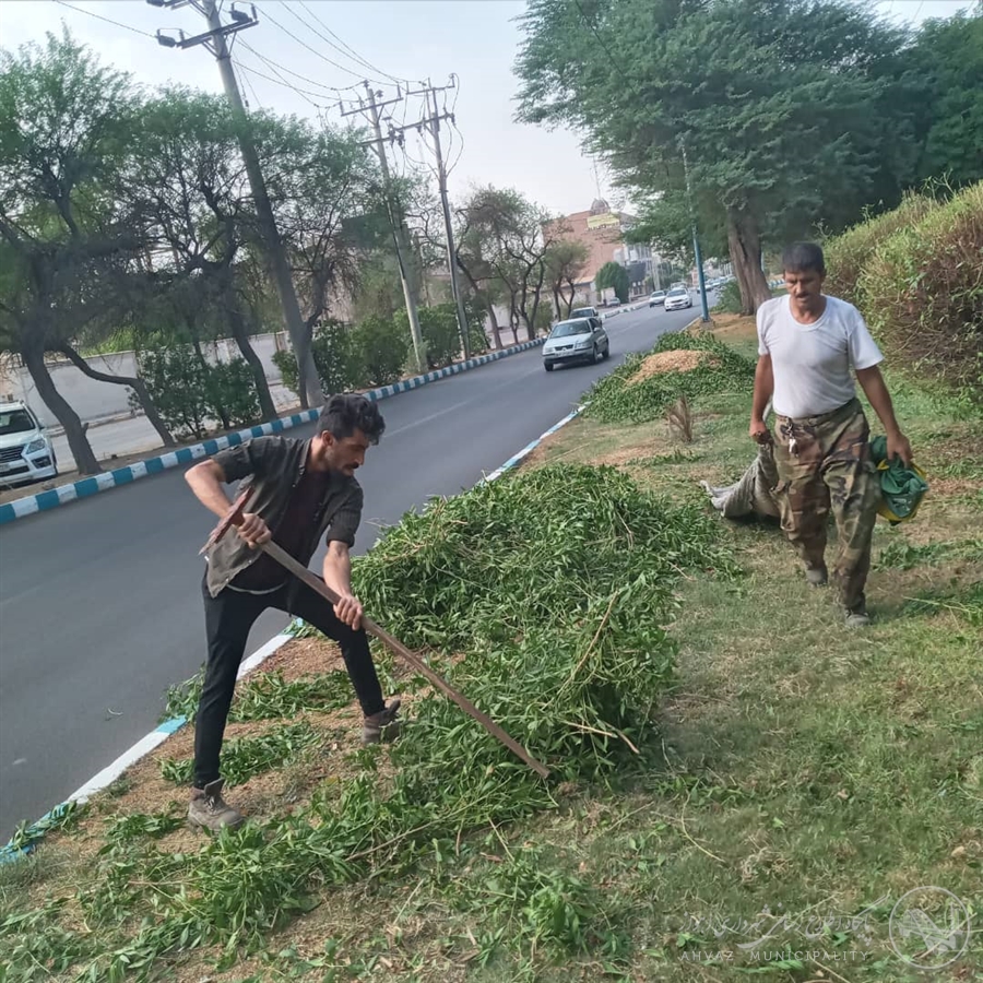 هرس زیبایی شهر اهواز!